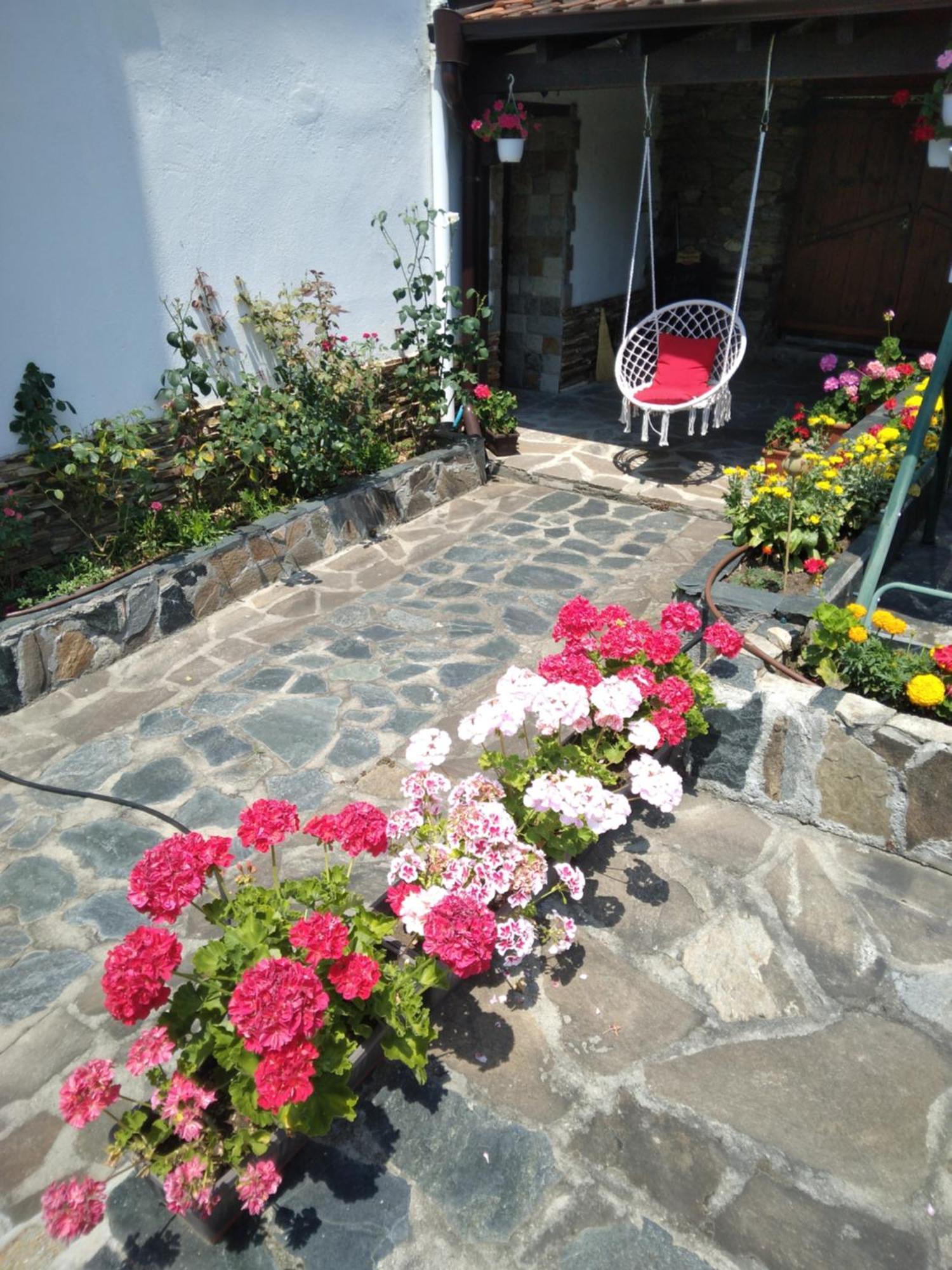 Guest House Popov Marchevo ภายนอก รูปภาพ